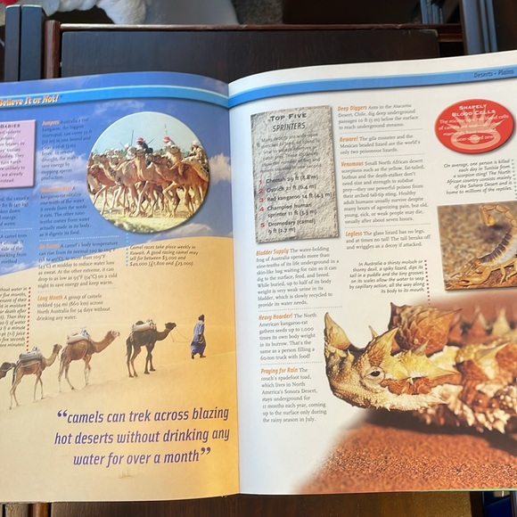 Ripley’s Believe It or Not Book (2004) Hardcover - Picture 4 of 4